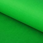 Бумага тишью "Зелёная", 50 х 76 см, 24 шт. - фото 6564250