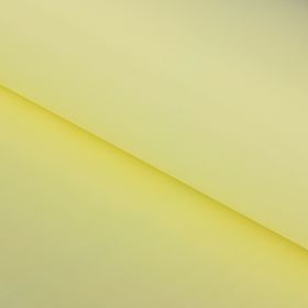 Бумага тишью "Ванильно-жёлтый", 50 х 76 см, 24 шт.