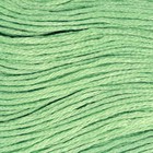 Нитки мулине, 8 ± 1 м, цвет светло-зелёный №563 - фото 6564477