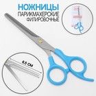 Scissors thinning with emphasis, blade 6.5 cm, color silver/blue