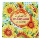 Multifunctional kitchen Board "Best hostess", 20 cm Multifunctional kitchen Board "Best hostess", 20 cm