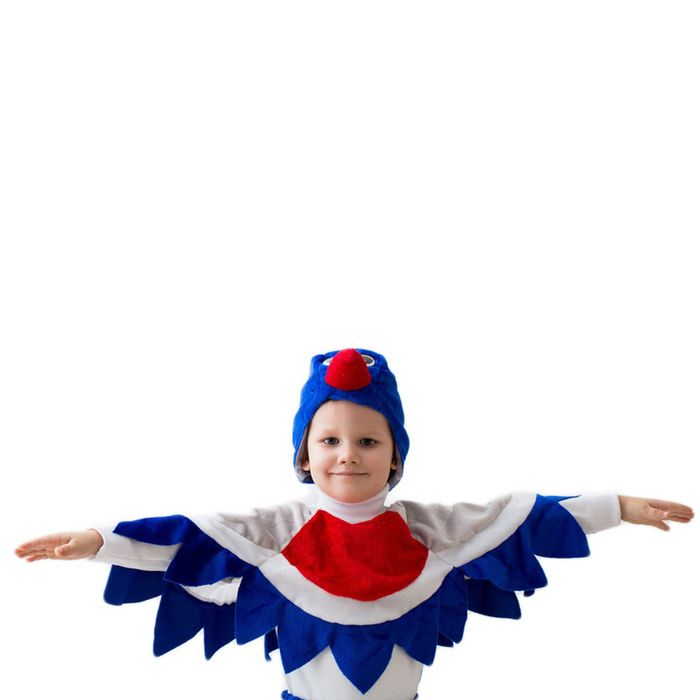 Карнавальный костюм "Снегирь", шапка, воротник с крыльями, 5-7 лет, рост 122-134 см