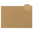 Картон цветной Sadipal Sirio, 210 х 297 мм,1 лист, 170 г/м2, светло-коричневый, цена за 1 лист - фото 1113078