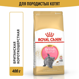 Сухой корм RC Kitten British Shorthair для британских котят, 400 г