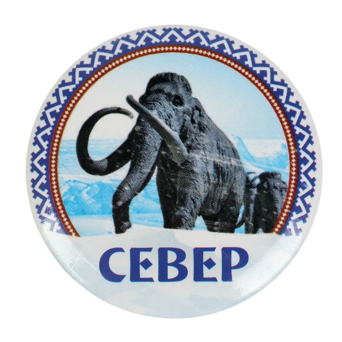 Магнит закатной «Север»