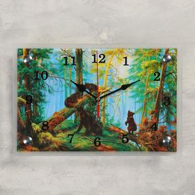 Часы настенные, серия: Животный мир, "Медведи в лесу", 20х30  см, микс в Донецке