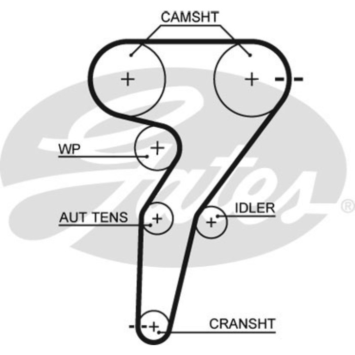 Ремень ГРМ Gates 5429XS