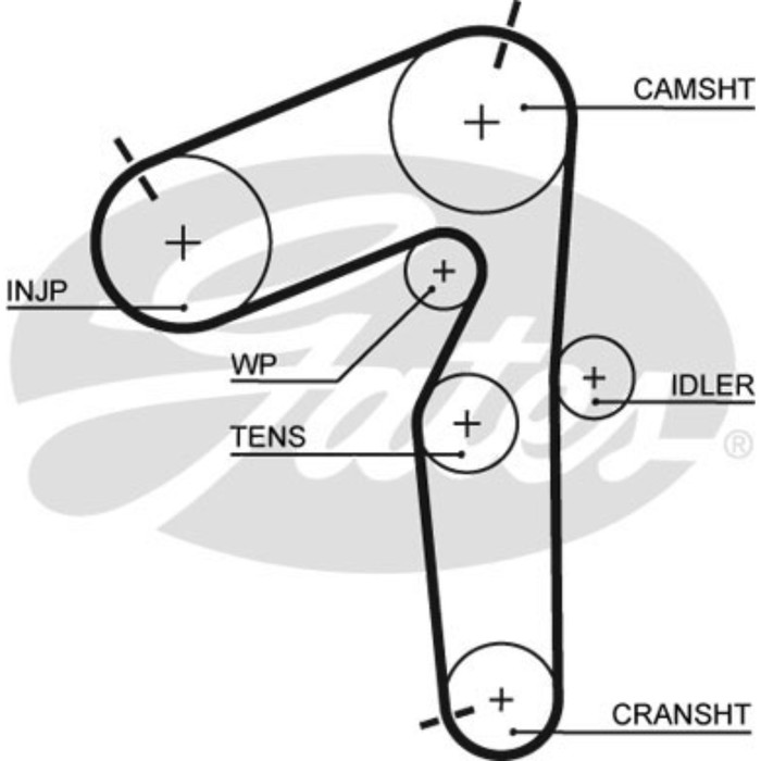 Ремень ГРМ Gates 5462XS