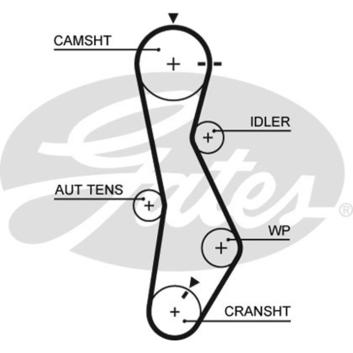 Ремень ГРМ Gates 5579XS