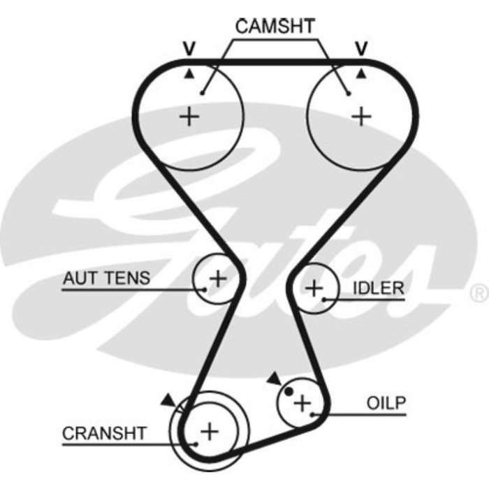 Ремень ГРМ Gates T313