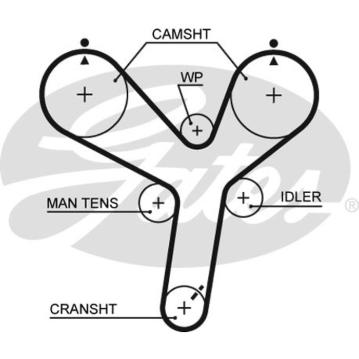 Ремень ГРМ Gates 5536XS