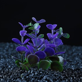 Растение искусственное аквариумное Пижон Аква, кустовое, фиолетовое, 10 см