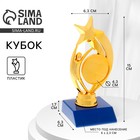 Фигура под нанесение "Звезда с человеком" Фигура под нанесение "Звезда с человеком"