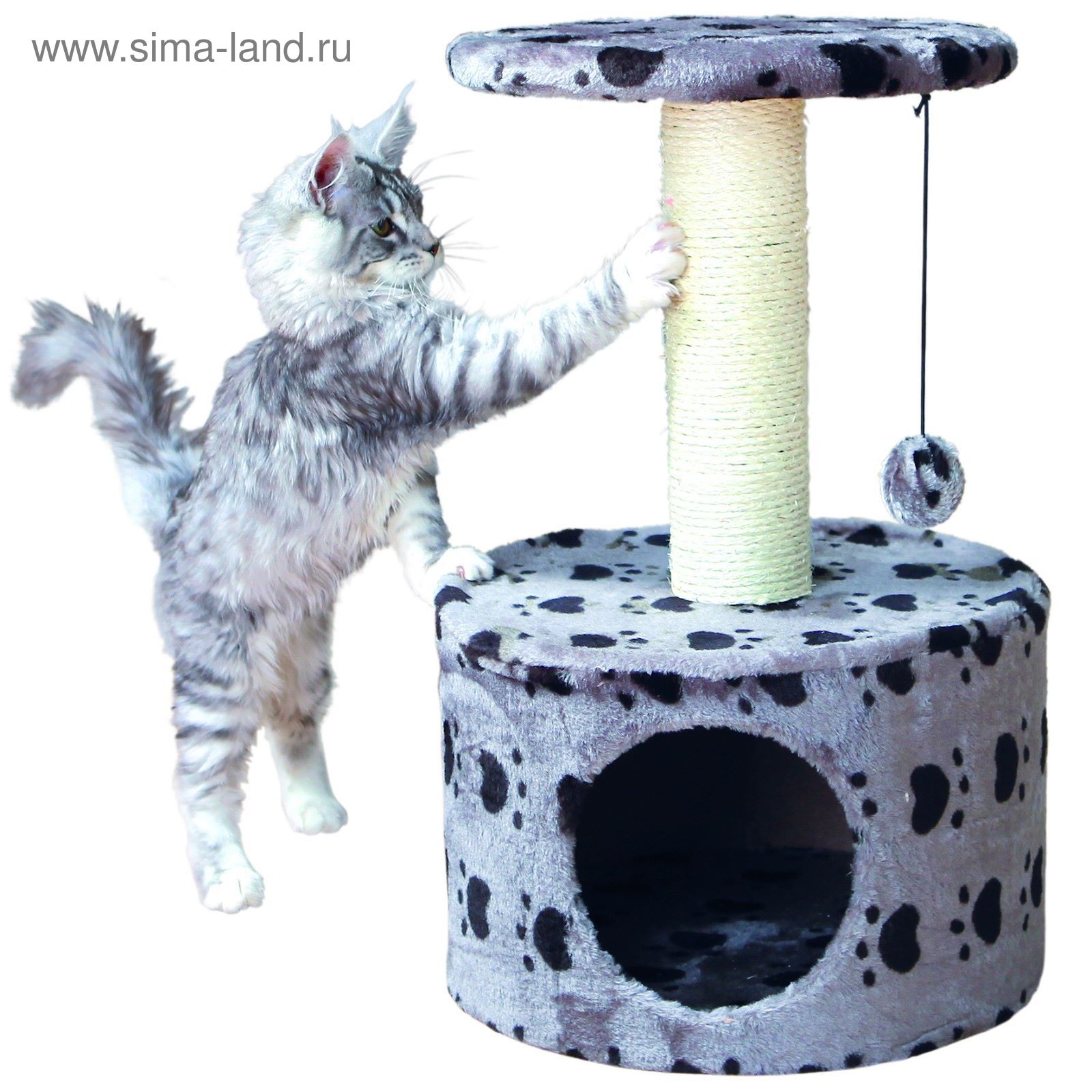 Домики Для Кошек Фото