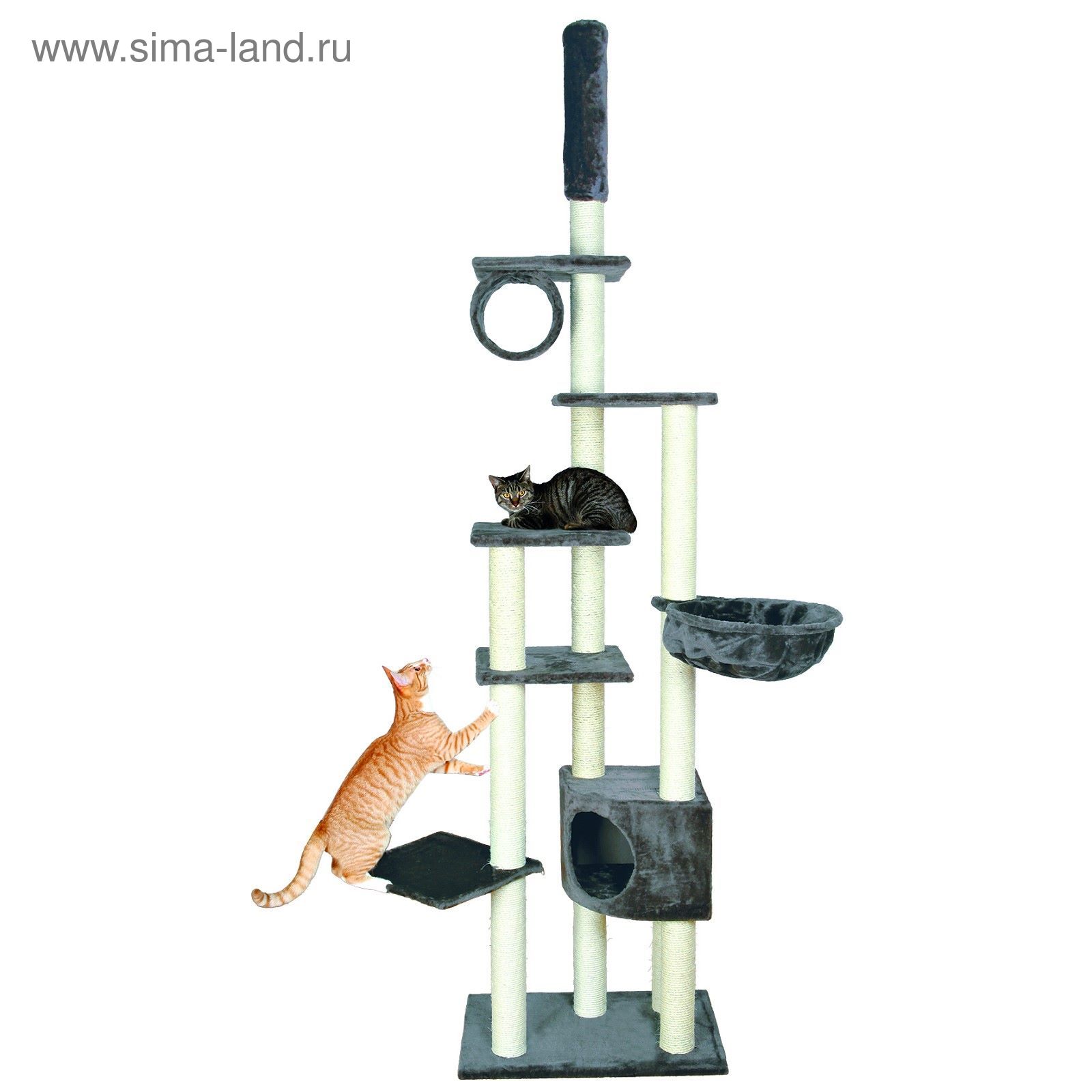 Домики Для Кошек Фото