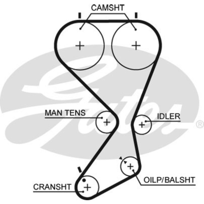 Ремень ГРМ Gates 5556XS