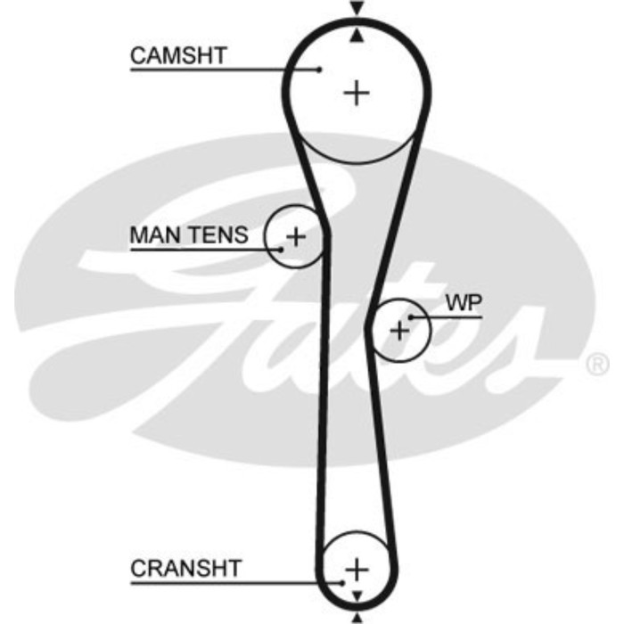 Ремень ГРМ Gates 5577XS