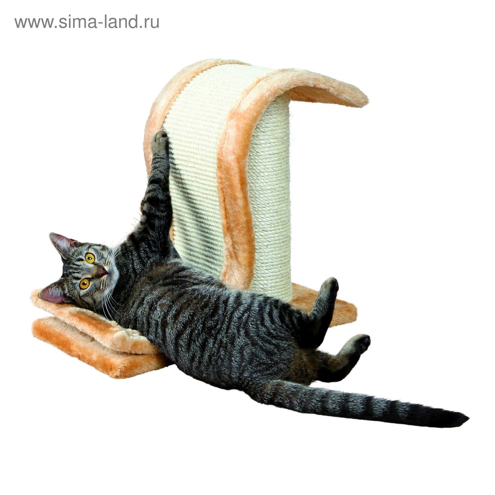 Чесалки Для Кошек Фото