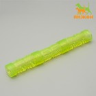 Игрушка тренировочная жевательная "Палка" полая, 24,5 см, микс цветов Игрушка тренировочная жевательная "Палка" полая, 24,5 см, микс цветов