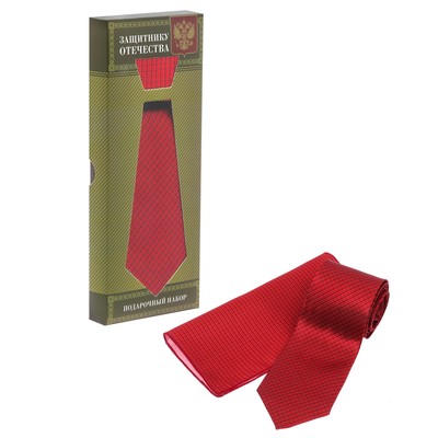 Gift set: tie and kerchief "Defender of the Fatherland"