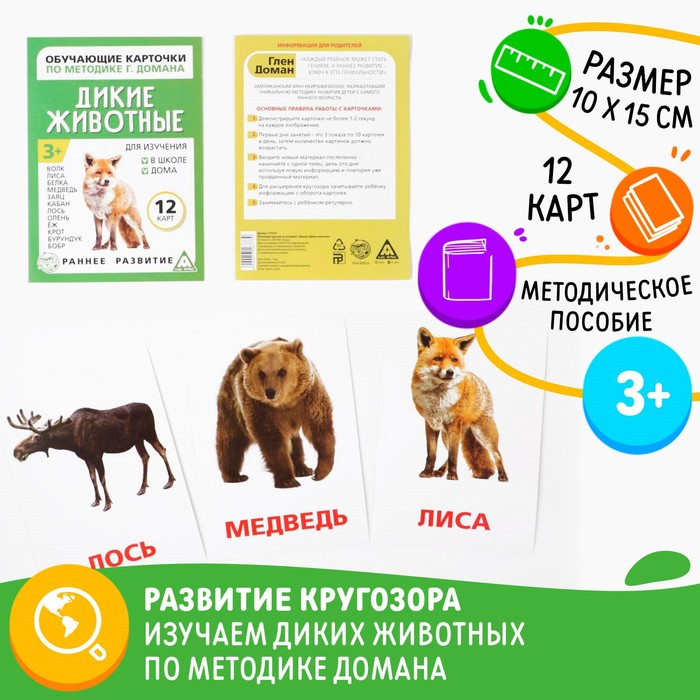 Обучающие карточки по методике Г. Домана «Дикие животные», 12 карт, А6 - фото 79041870