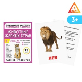 Обучающие карточки по методике Г. Домана «Животные жарких стран», 12 карт, А6 в Донецке
