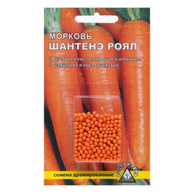 Семена Морковь "Шантенэ ройал",  300 шт