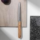 Нож кухонный для мяса Apollo Woodstock, лезвие 12 см - фото 358351