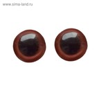 Eye screw-caps, translucent, set of 4 PCs, color brown , size 1 pieces 1*1 cm