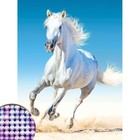 Алмазная мозаика с частичным заполнением «Белый конь», 30 х 40 см - фото 834918