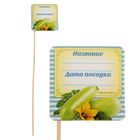 Табличка для растений "Кабачок" Табличка для растений "Кабачок"