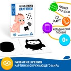 Развивающая игра «Черно-белые картинки» для новорождённых Развивающая игра «Черно-белые картинки» для новорождённых