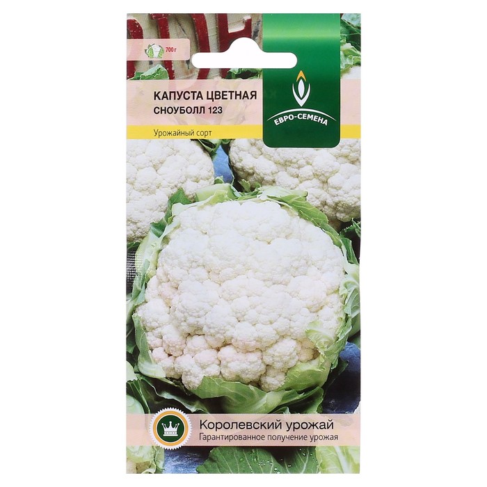 Цветная капуста сорт сноуболл. Капуста цветная Сноуболл 123. Капуста семена цветная Сноуболл. Семена капуста Сноуболл 123. Капуста цветная Сноуболл 123 фото.