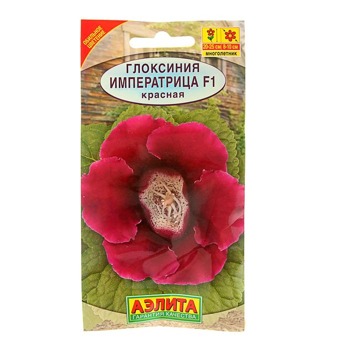 Глоксиния Семена Купить В Интернет Магазине