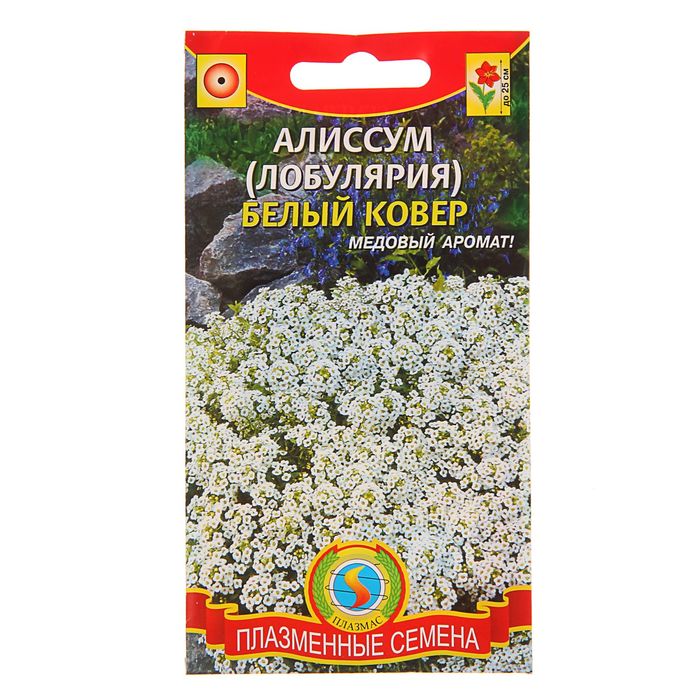 Плазменные Семена Магазины
