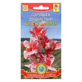 Семена цветов Горошек душистый "Красная лента" 0,4 г