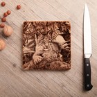 Доска из массива кедра «Рысь», квадратная, 18 × 18 см Доска из массива кедра «Рысь», квадратная, 18 × 18 см