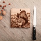 Доска из массива кедра «Белочка», квадратная, 18 × 18 см Доска из массива кедра «Белочка», квадратная, 18 × 18 см