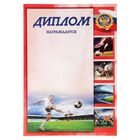 Диплом виды спорта "Футбол" Диплом виды спорта "Футбол"