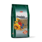 Корм Padovan SCAGLIOLA/canaryseed для птиц, зёрна канареечного семени, 1 кг. Корм Padovan SCAGLIOLA/canaryseed для птиц, зёрна канареечного семени, 1 кг.