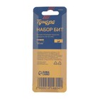 Биты ТУНДРА, намагниченные, сталь S2, 58-60 HRC, TiN, PH2 х 50 мм, 2 шт. 1414804 Биты ТУНДРА, намагниченные, сталь S2, 58-60 HRC, TiN, PH2 х 50 мм, 2 шт. 1414804