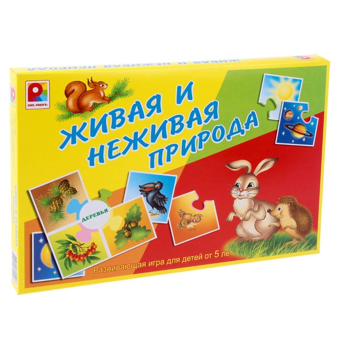 Кучеряшка настольная игра обзор