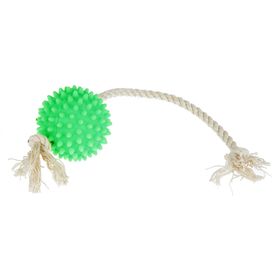 Игрушка Мяч на веревке Зооник, 27 х 6 х 6 см, микс цветов