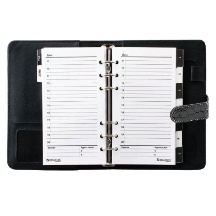 Ежедневник со сменными блоками. Сменный блок органайзера. Сменный блок 95х170 мм a5-. Сменный блок brauberg для органайзеров. Органайзер а6 на кольцах со сменным блоком.