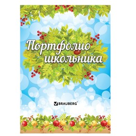 Портфолио школьника BRAUBERG, 16 листов: титульный лист, содержание, 14 разделов «Окружающий мир» в Донецке