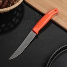 Нож кухонный «Ланфорд», лезвие 11 см, цвет МИКС - фото 373479