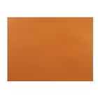 Картон цветной, 650 х 500 мм, Sadipal Sirio, 1 лист, 170 г/м2, оранжевый 05929 - фото 8002186