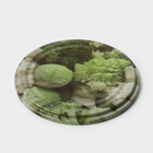 Крышка для консервирования «Элит», СКО-82 мм, лакированная, упаковка 50 шт, цвет МИКС 1896055