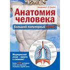 Анатомия человека: большой популярный атлас. Билич Г. Л. 2022196 - фото 5965586