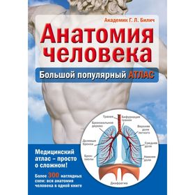 Анатомия человека: большой популярный атлас. Билич Г. Л.